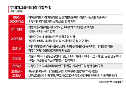 반도체·배터리도 직접 설계한다…현대차, 내재화 전략은
