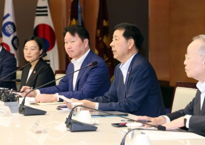 "배임죄 완화 등 기업 규제 전면 재검토"…새정부 성장전략TF 출범