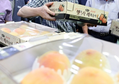 "호박무침·복숭아 좋아하는 이 대통령…부부싸움 도중에도 일단 밥은 먹었다"[시사쇼]