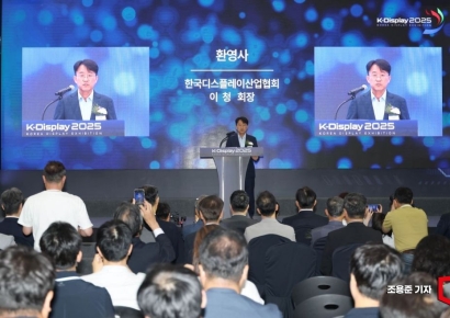 [포토] 'K-디스플레이 2025' 환영사 하는 이청 협회장 