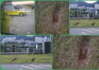 환자 구하러 달려 왔는데…"구급차가 잔디 망쳤다" 황당 민원