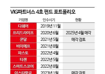 [PE는 지금]시장에서 먼저 찾는다…VIG, 4호 펀드 청신호