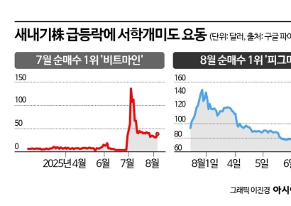 3900% 급등에 현혹돼 올라탔다가…폭락 직격탄 맞은 서학개미