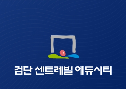 고강도 규제에 수요는 외곽으로… ‘검단 센트레빌 에듀시티’ 등 분상제 단지 주목