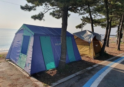 "매너 없는 모습에 화가 난다"… 공공장소 점령한 해변 '텐트 알박기'