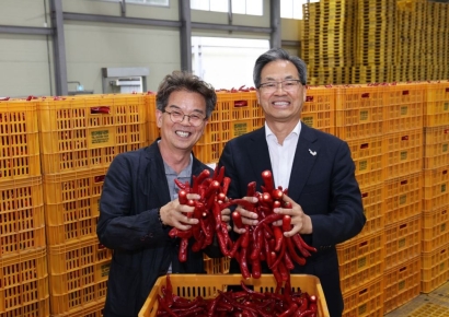 영양군, 2025년산 홍고추 수매 본격 시작
