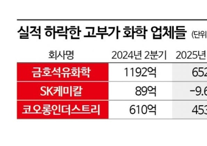 고부가·비NCC도 못 버텼다…석화업계 위기 다운스트림으로 확산