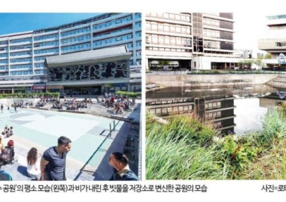 폭염·태풍·극한 호우에서 살아남기…기후 적응은 '생존의 기술'