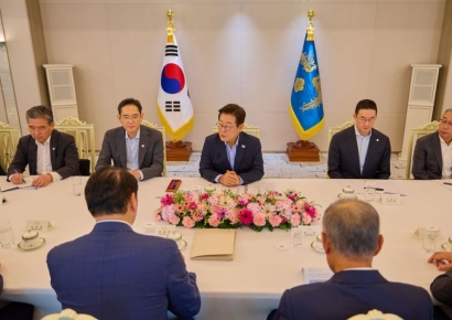 재계 만난 李대통령 "美 순방 동행기업, 현장에서 성과 많이 만들어 달라"