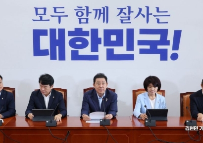 채찍·당근 동시에 든 與…김병기 "경제형벌 민사책임 합리화 TF 곧 출범"