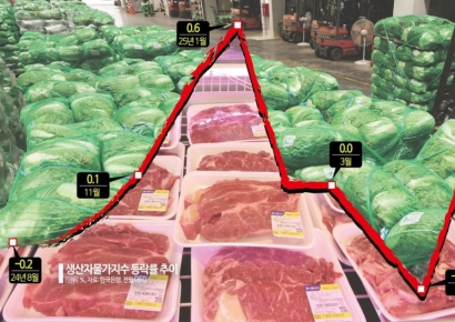 "어째 매년 이러냐, 집에 뭐 들고가지?"…33만원은 써야 고기, 생선 올리겠네