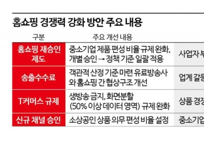 정부, 중기 전용 T커머스 신설 검토…10월 구체안 나오나 