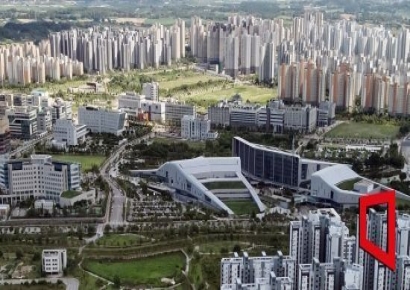 김태흠 지사, 소상공인 지원 '전국 첫 결단'