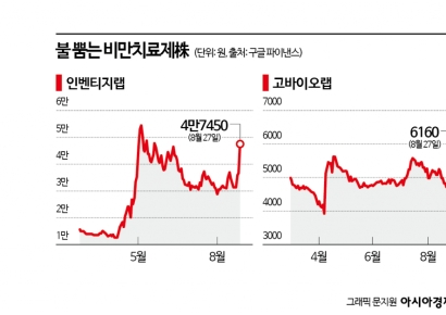 횡보장에도 '신바람'…비만치료株, 글로벌 활로에 '上'