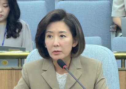 나경원 "윤·한 불화가 현 사태 초래…내가 당 대표였으면 계엄 없었어"