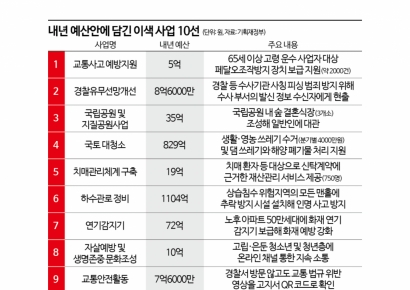 고령 택시 운전자, 페달 오조작방지장치 보급 지원 받는다[李정부 첫예산]