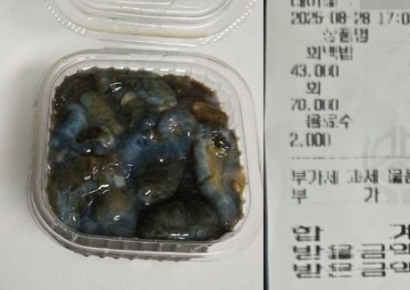 '시가'라며 해삼 한 접시 7만원 받은 부산 횟집…지자체 단속에 결국