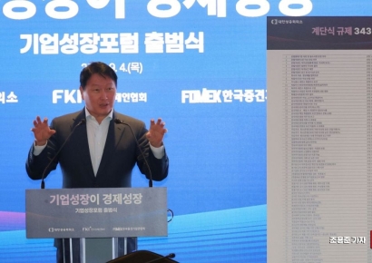 [포토] 최태원 회장, 기업규제 관련 발언