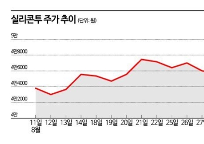 상반기와 다른 실리콘투, 수익성 회복이 관건