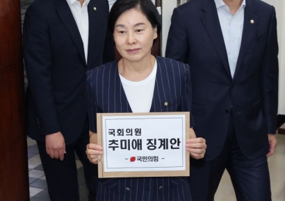 국힘, 추미애 징계안 제출…"나경원 간사 선임 방해"
