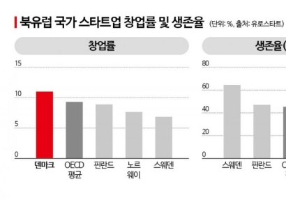 "실패해야 배운다"...덴마크의 이유 있는 낮은 스타트업 생존율