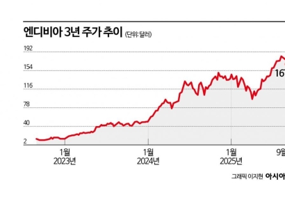 [실전재테크]'버블론' AI주식, 투자해도 괜찮을까