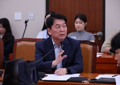 "700조 투자하고 비자 하나 못 받아서 되겠나"…안철수, 李대통령에 강력 권고