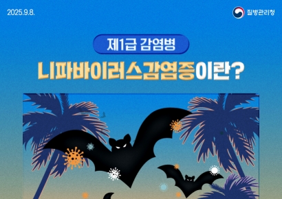울산시, 니파바이러스감염증 감시체계 강화