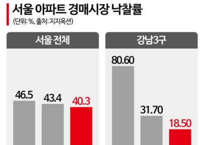 9·7 대책 이튿날 송파구 고가낙찰 3건…경매 시장이 먼저 움직였다[부동산AtoZ]