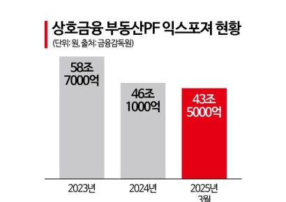 [규제에 가로막힌 상호금융]②쉽지않은 부실자산 매각, 정상여신도 충당금 쌓아야