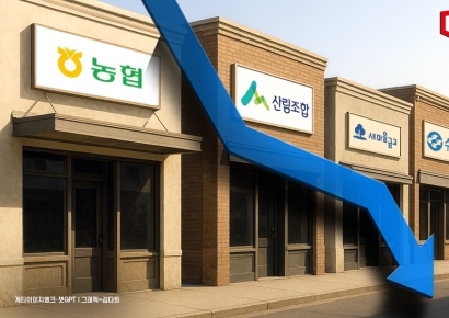 [규제에 가로막힌 상호금융]①추락한 실적과 부실 확대, 가계대출 규제의 풍선효과