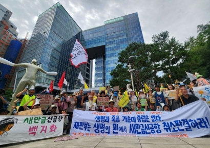법원, 새만금공항 건설 제동…"조류 충돌 위험 어느 공항보다 높아"