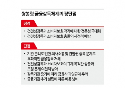 "해외서도 중복규제 우려" 쌍봉형 금융감독 도입한 나라보니 
