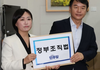 與, 정부조직법 개정안 제출…금감위법은 패스트트랙 전망