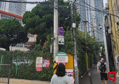 미관 해치고 안전 위협…도심 곳곳 무허가 통신선