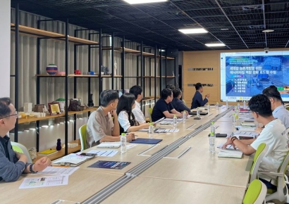 전남형 마이크로그리드, 아프리카·중앙아시아 확장