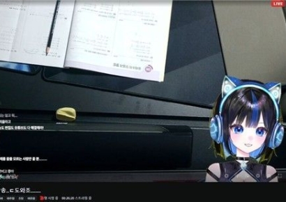 '상반신 노출에 상기된 얼굴'…초등학생 버튜버 이대로 괜찮을까 