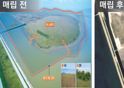 국제학교 들어선다는데…"계약금만 내고 2년간 0원" 파격 분양 나선 이곳