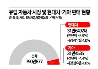 유럽 공략 속도내는 현대차…튀르키예서 내연·전기차 합동 생산