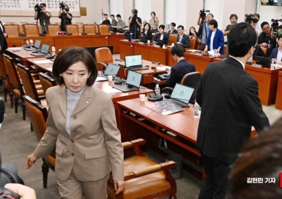 법사위, 나경원 간사 선임건 부결…"패트 기소·내란 옹호" vs "호선이 관행"