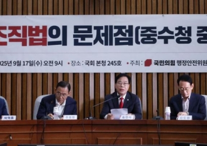 [포토] 국민의힘, 정부조직법 문제점 토론회