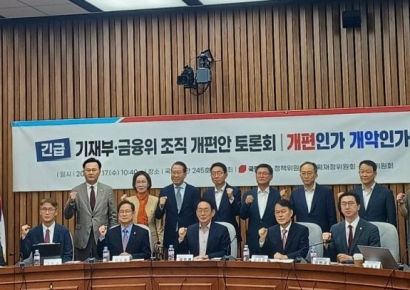 "정부조직개편, 최후 승리자는 기재부…금융당국 해체·분리 반대"