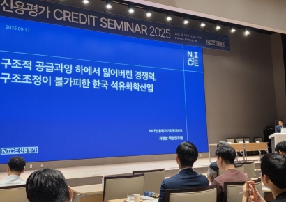 나신평 "사면초가에 빠진 석유·화학…구조조정 불가피"