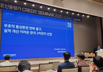 나신평 "韓 이차전지, 우호적 통상환경 불구 빠른 실적개선 어려울 것"