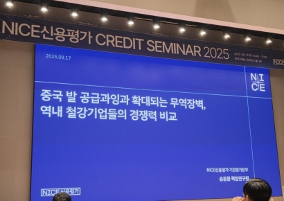 나신평 "철강산업, 중국 수요 둔화 지속으로 경쟁 심화 지속 전망"