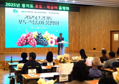 가평군, 경기도 포도품평회서 최우수·우수상 동반 수상