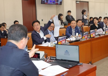 '검찰청 폐지·기재부 분리' 정부조직법, 국회 행안위 전체회의 의결(종합)