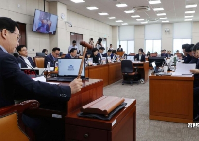[포토] 정부조직법 개정안 與주도 행안위 통과…검찰청폐지·기재부개편