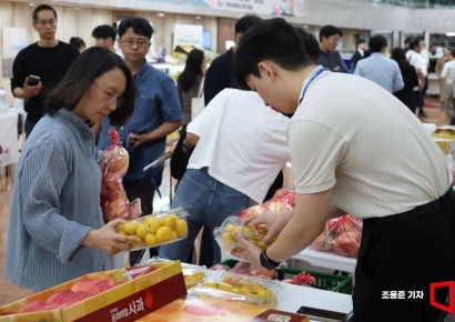 [포토] 과일 고르는 정부서울청사 직원들