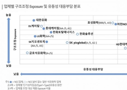 "석화생산능력 최소 18% 감축해야...유동성 리스크 높아져"
